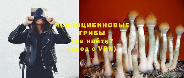 apvp Алексин